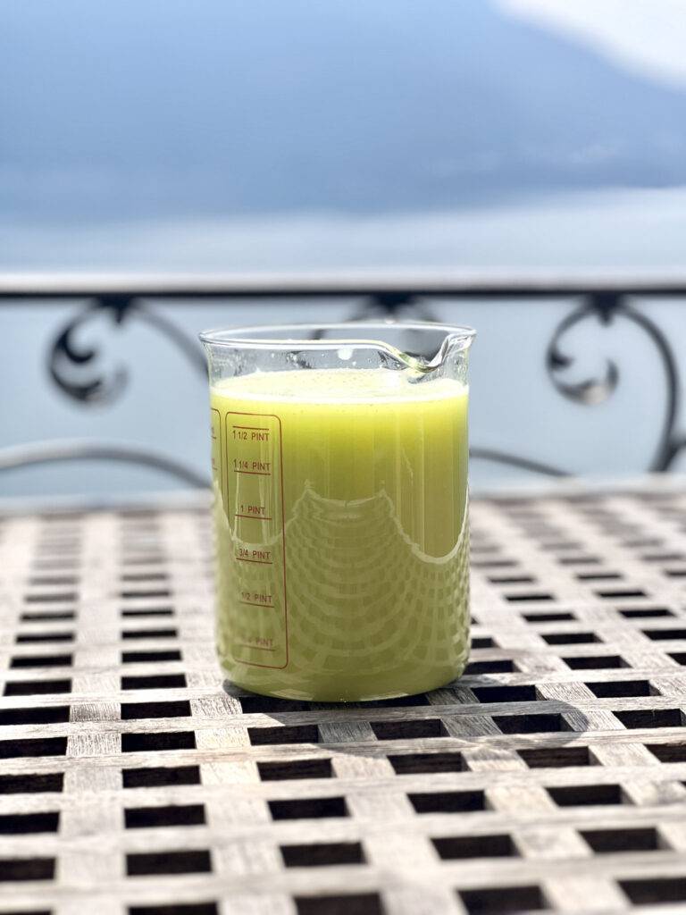 Basil Lemonade in front of a dreamy lake view
