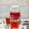 Two servings of cranberry kombucha, garnished with fresh and dried cranberries