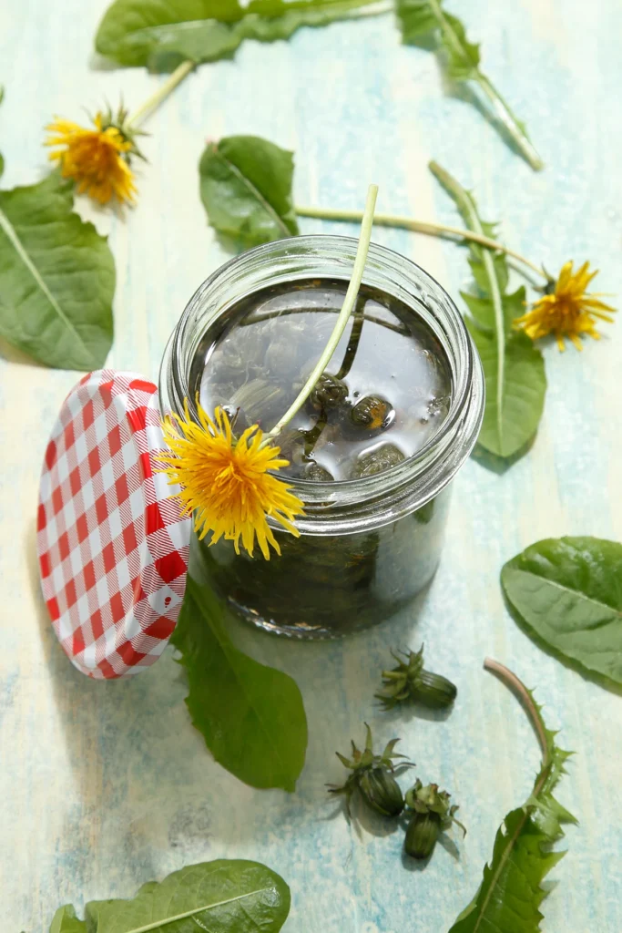 A jar with pickeld dandelion buds stands with open lid on a wooden underground. There are dandelion leaves and flowers decorated around.