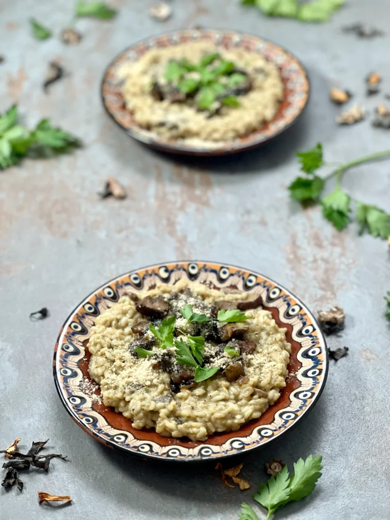 Two beautiful brown ceramic plates with garnished mushroom risotto on a stone underground, with parsley leaves around them