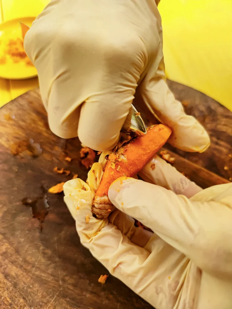 Two hands in gloves peel a turmeric root over a round wooden cutting board. A yellow wooden background can be seen in the background.