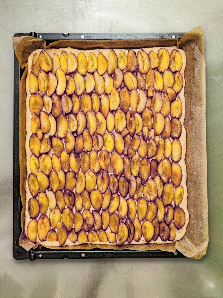 The yeast dough is completely covered with quartered plums. The yeast dough is spread out on baking paper the size of the oven baking tray.