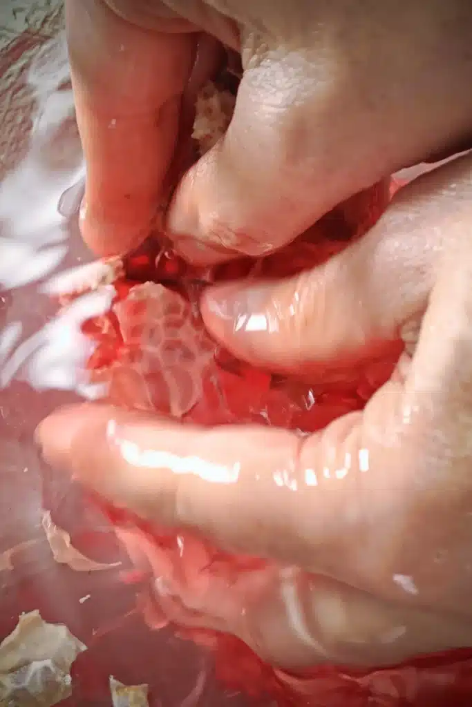 Close-up of two hands removing seeds from a pomegranate under water.