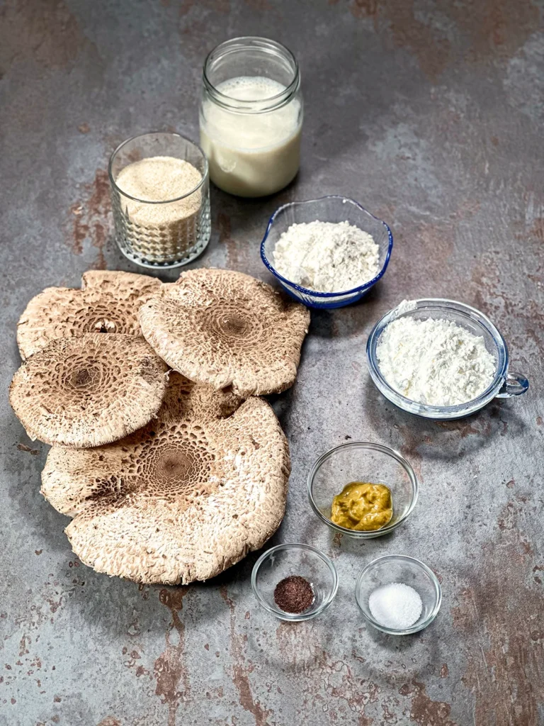 Parasol mushroom heads, breadcrumbs, flour, starch, vegan milk and spices presented on a grey stone surface