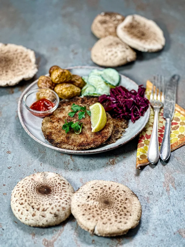 A beautiful grey plate with two parasol schitzel, braised red cabbage, cucumber salad, and potatoes. Fresh parasol mushrooms are presented around the plate.