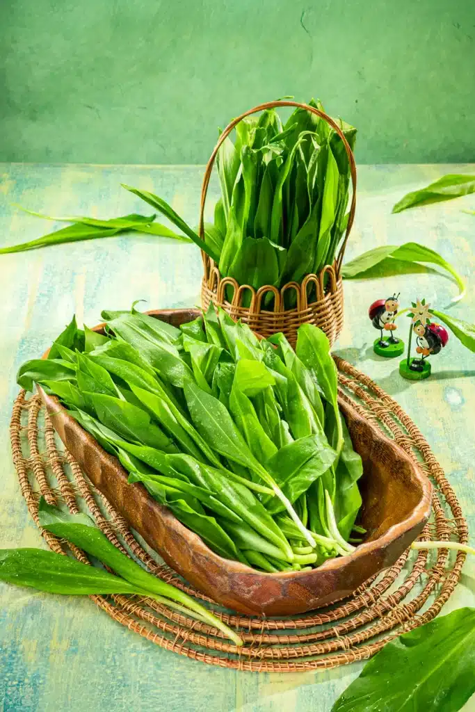 Freshly harvested wild garlic leaves in a rustic wooden bowl and wicker basket on a spring-themed table, perfect for making wild garlic ice cubes.