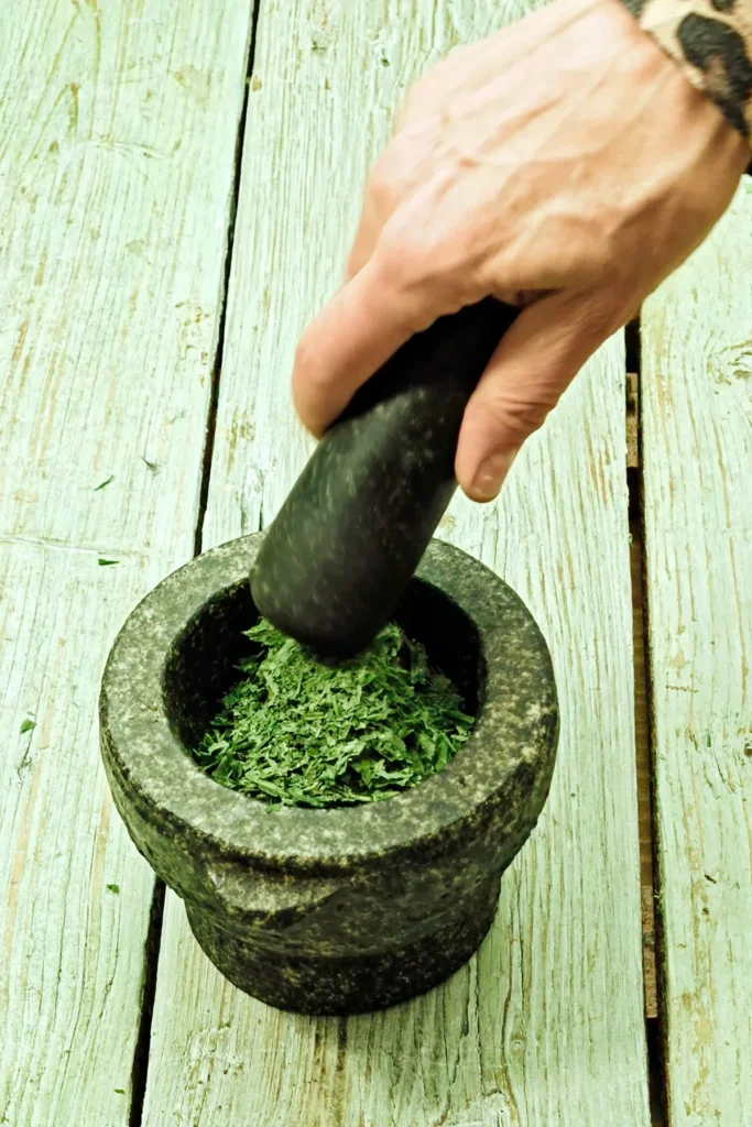 A hand with a pestle grinds the dry wild garlic in a mortar.