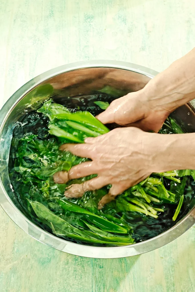 A stainless steel bowl sits on a light green wooden table. It's filled with water and wild garlic. Two hands are washing the herbs.