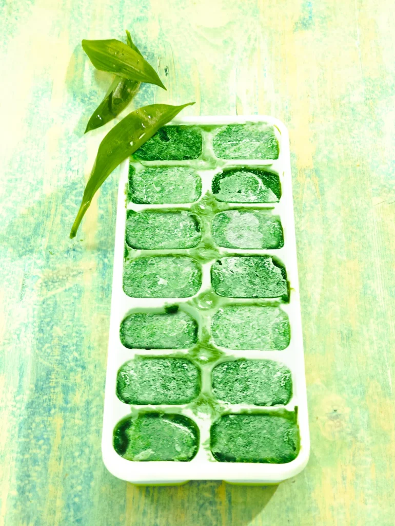 Wild garlic puree in ice cube tray after freezing.