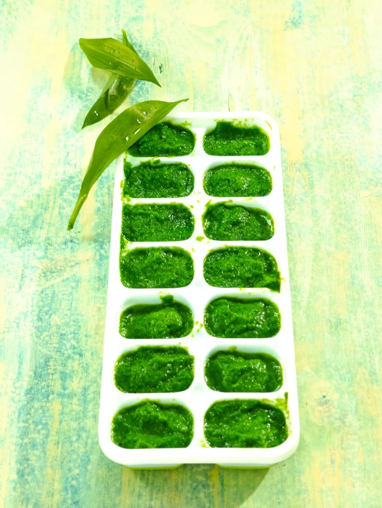 Wild garlic puree in ice cube tray before freezing.
